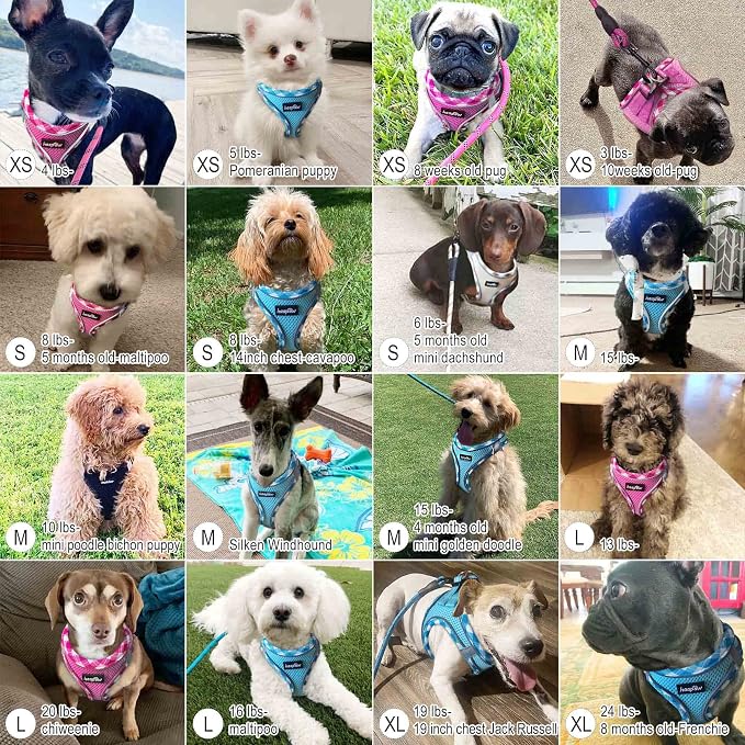 haapaw Dog Harness with Leash Set, No Pull Adjustable Reflective Step-in Puppy Harness with Thickened Padded Vest for Extra-Small/Small Medium Dogs - Image 6