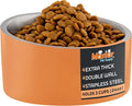 Master Pet Supply Stainless Steel Slanted Dog Cat Food Bowl 24 oz Mango | Heavy Duty Double Wall Insulated Non-Slip Elevated Bowl for French Bulldogs Pugs Cats Anti Rust Dishwasher Safe, Mango Tango by MasterPetSupply
