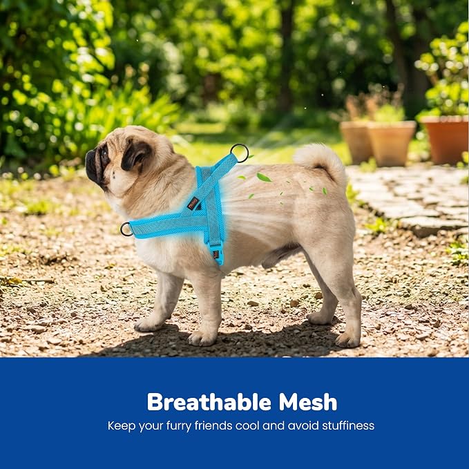 No Pull Dog Harness for Medium Dogs, Breathable Mesh Padded, Blue, M | Quick Fit, Easy On and Off, Adjustable, Reflective Vest Harness for Night Safty, Easy for Walking and Training, Chest 21-26" - Image 2