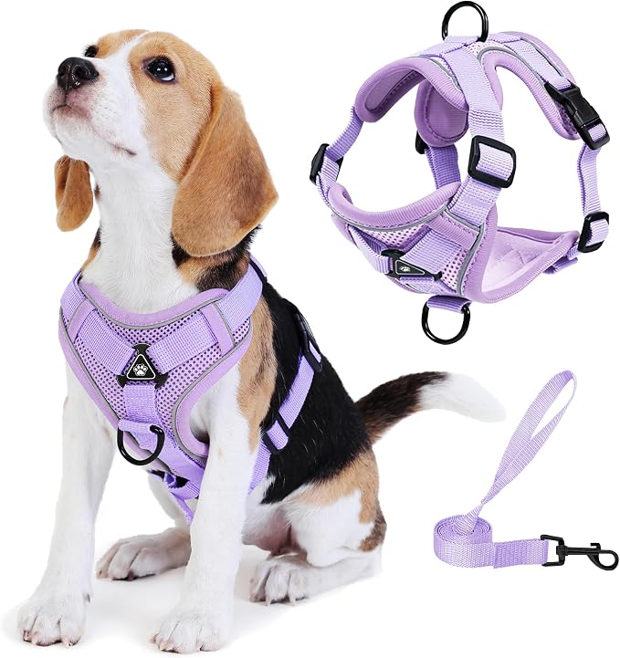 Dog Harness Small Sized Dog Pet Vest with Leash Set Lilac S | Adjustable Puppy Vest Harness, No Choke No Pull, Soft Padded, Step-in Dog Vest, Reflective Cat Harness, Breathable Air Mesh by Unknown