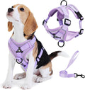 Dog Harness Medium Sized Dog Pet Vest with Leash Set Lilac XL | Adjustable Puppy Vest Harness, No Choke No Pull, Soft Padded, Step-in Dog Vest, Reflective Cat Harness, Breathable Air Mesh by Unknown