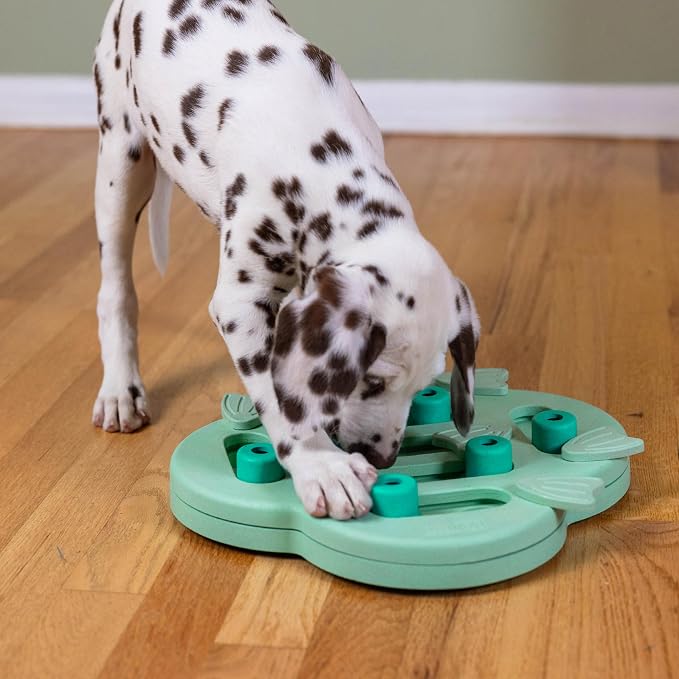 Outward Hound Nina Ottosson Puppy Hide N' Slide Dog Toy Treat Puzzle, 11.6" | Level 2 Intermediate, 14 Hidden Treat Compartments, Holds 1/4 Cup Kibble or Treats, Easy Clean, No BPA, Enrichment, Puppies - Image 8