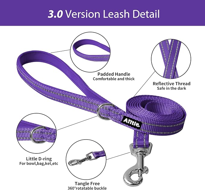 AIITLE Dog Harness and Leash Set, Step-in Puppy Pet Vest, Pure Purple XXXS | Light, Soft, Breathable Air Mesh, Escape-Proof, Easy on and Remove with Hook & Loop, Secure Reflective for Walking - Image 8