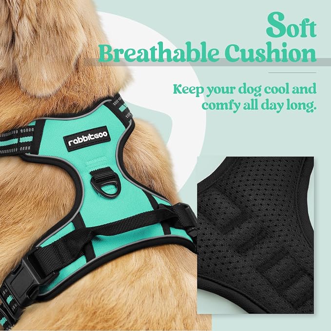 rabbitgoo Dog Harness, No Pull for Small Dogs with 2 Leash Clips, Pet Vest | No Choke with Handle, Adjustable Soft Padded, Reflective, Easy Control for Walking, Turquoise, Small - Image 2