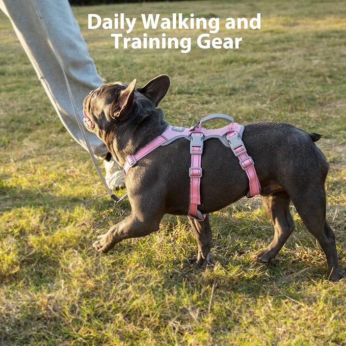 Escape Proof Dog Harness, Escape Artist Harness, Fully Reflective Harness with Padded Handle, Breathable,Durable, Adjustable Vest for Medium Dogs Walking, Training, and Running Gear (Pink,M) - Image 7