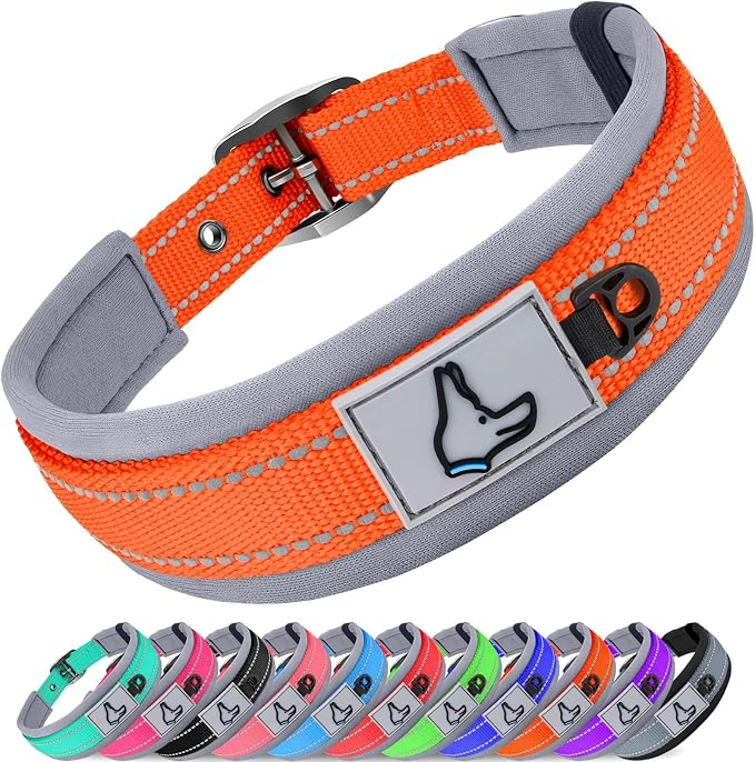 Joytale Reflective Dog Collar for Small Dogs with Wide Padding, Orange | Soft Cushion Reduce Neck Strain, Night Safety Walking, Metal Buckle and Adjustable Eyelets, Separated Dog ID Tag Ring by Joytale
