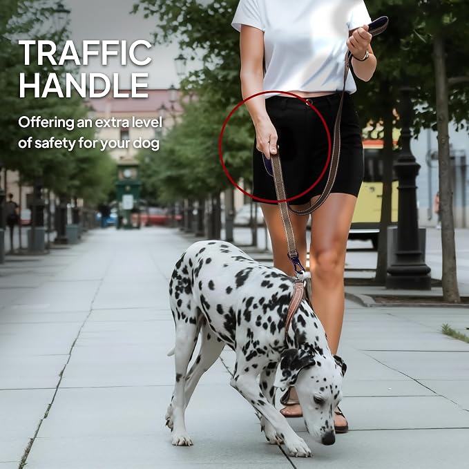 Twoear 6FT 1IN Heavy Duty Dog Leash for Large Dogs with 2 Padded Handles | Traffic Handle Extra Control, Auto Lock Hook, Strong Reflective Walking Leash for Night Safety, Medium and Large Breeds,Brown - Image 6