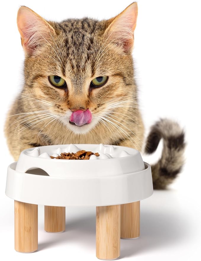 CatGuru Whisker-Friendly Slow Feeder Cat Bowl for Healthy Digestion | Perfect for kittens, adult, and senior cats. Encourages calm, healthy eating habits at every age. - Image 6