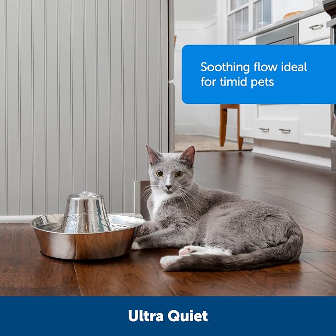 PetSafe Seaside Stainless Cat & Dog Fountain, 60 oz, 2 Filters & Pump | 60 Oz Capacity, 360-Degree Flow, Triple-Filter with 2.5x More Activated Carbon, Scratch/Rust-Resistant Stainless Steel - Image 2