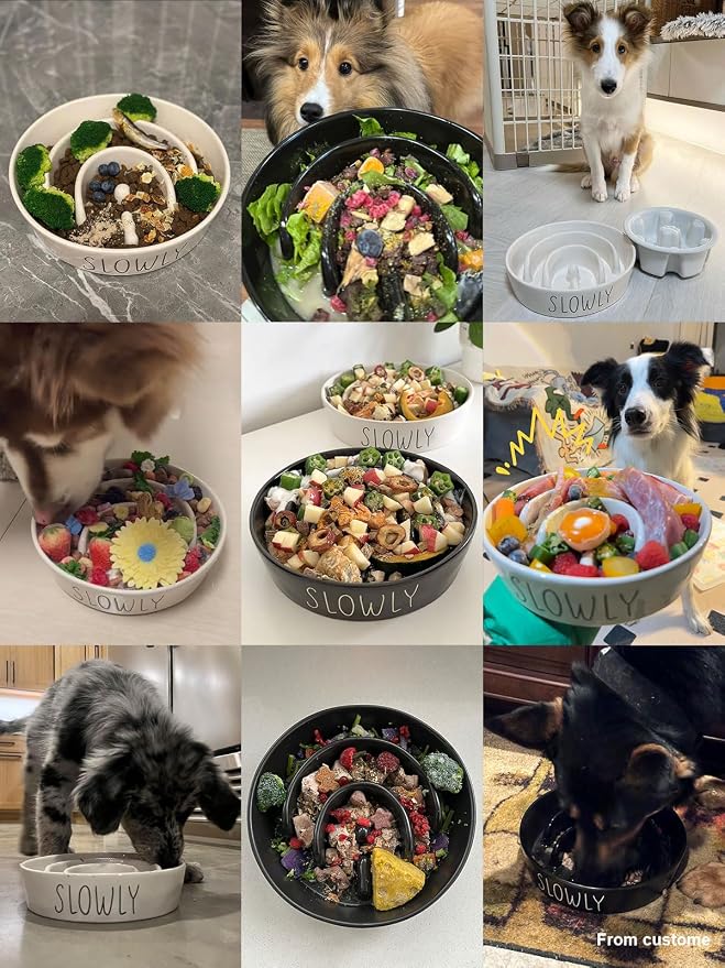 LE TAUCI PET Ceramic Slow Feeder Dog Bowl - 3 Cup Puzzle Maze for Medium & Large Breeds, Puppies & Fast Eaters, Pet Food Dish Black - Image 2