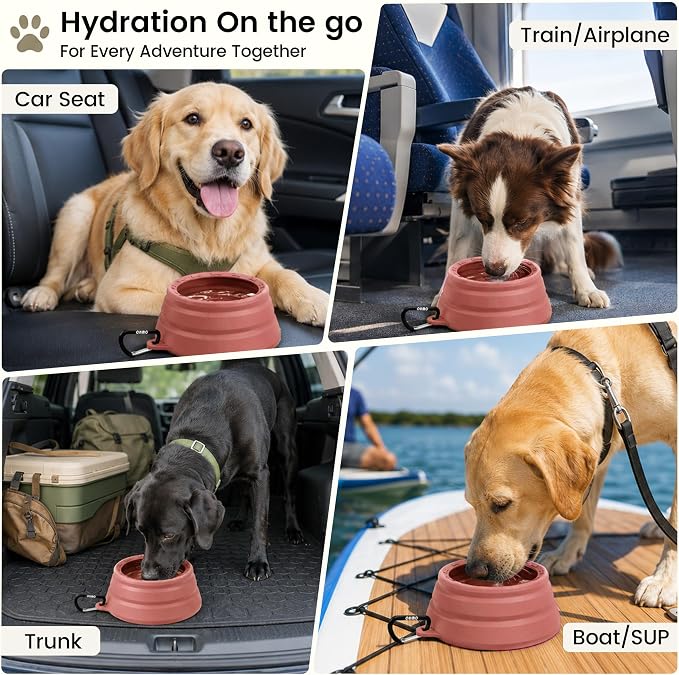 OHMO Spill Proof Collapsible Dog Bowl, 34oz Portable Dog Water Bowl | Low Center Gravity Stability, Tapered Splash Control, Foldable, Dishwasher Safe, Dog Travel Essential, Erythrinus - Image 3