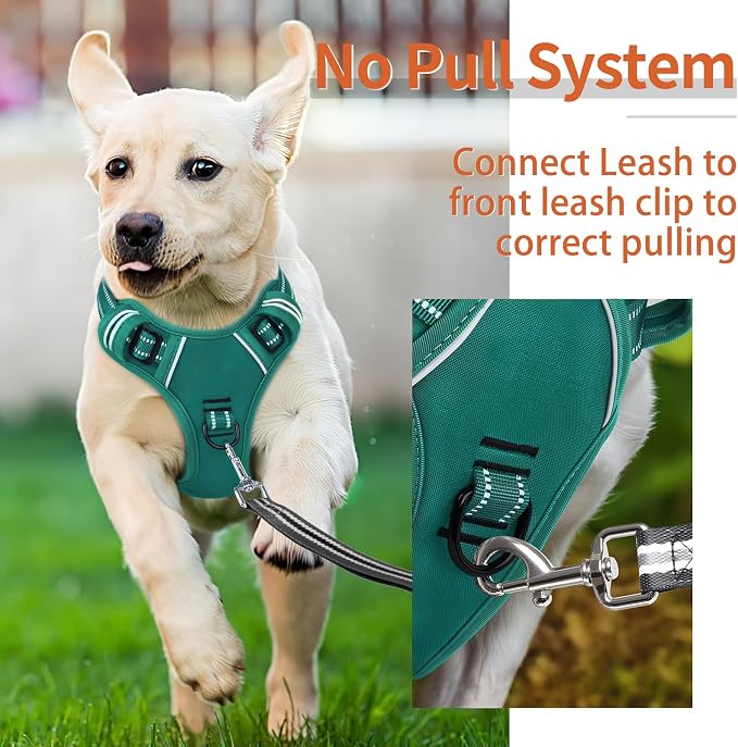 HEELE Dog Harness for Large Dogs No Pull Dog Vest Harness for Large Dog with Soft Padded Handle Reflective for Outdoor Training, Grass Green, XL | Front Clip for Large Dog Harness, 2 Metal Rings with Handle, Adjustable, Soft Breathable Padded Pet Vest ... - Image 4