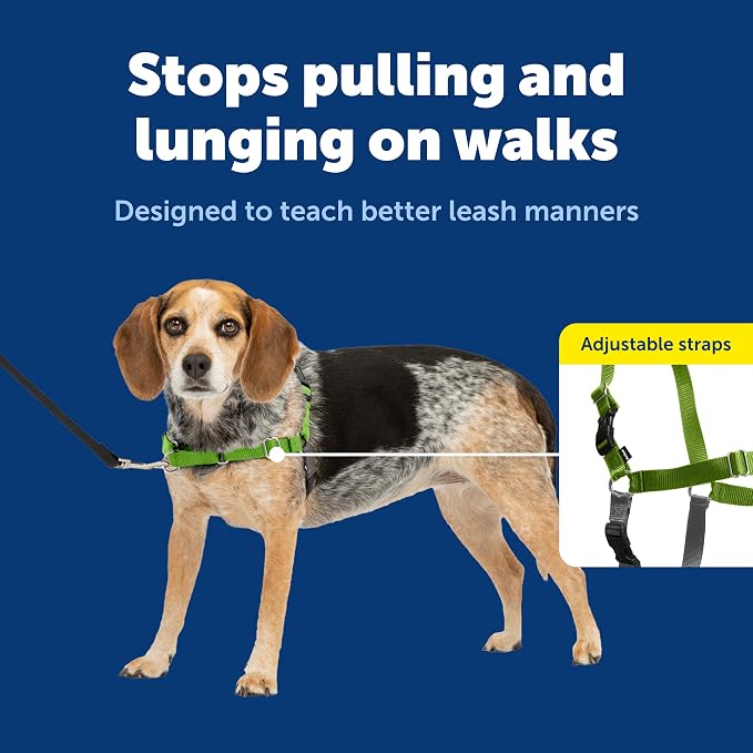 PetSafe Easy Walk Harness for Dogs - Pull-Free Walks - Patented Martingale Loop Design - Front Chest Leash Attachment - Comfort Straps - Breathable Harness Design - Small/Medium, Apple Green/Gray | Patented Martingale Loop Gives Gradual Shoulder Pressu... - Image 3
