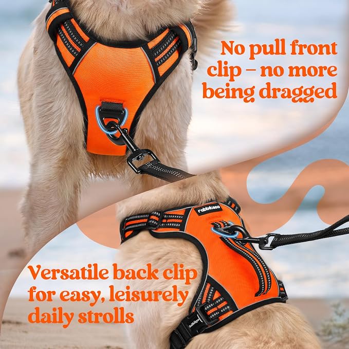 rabbitgoo Large Dog Harness, Easy Wear with 3 Buckles and Lift Handle | No Pull with Front Clip for Walking, Adjustable Soft Padded, Reflective, Easy Control, Orange, Large - Image 6