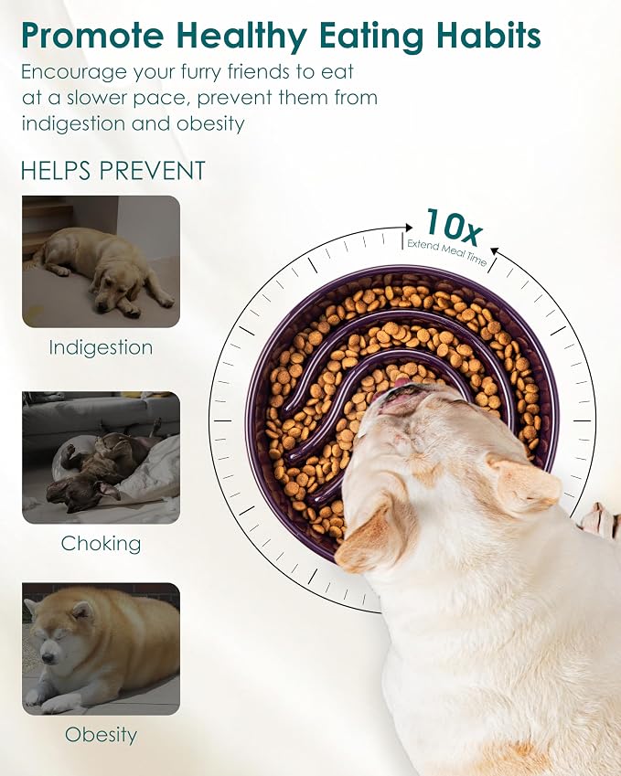 vancasso Slow Feeder Dog Bowl, 0.6 Cup Ceramic Slow Feeding Food Dish for Small Breed, Puzzle Dog Food Bowl for Fast Eater, Dark Purple - Image 3