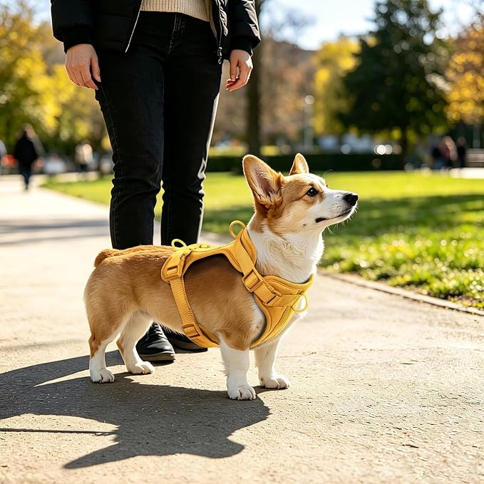 Wisedog Lightweight No Pull Dog Harness, Butter Yellow, Medium | Air Mesh, 3 Clips, Adjustable, No Choke Design, Ideal for Walking Training - Image 5