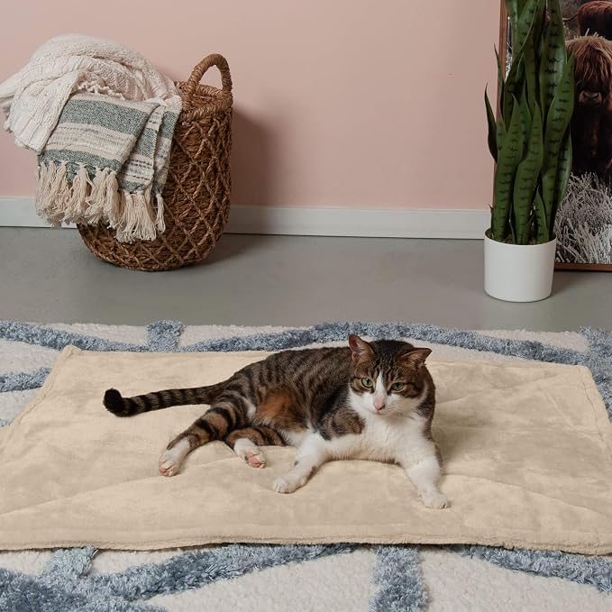 Furhaven ThermaNAP Self-Warming Cat Bed for Indoor Cats & Large/Medium Dogs, Washable & Reflects Body Heat - Quilted Faux Fur Reflective Bed Mat - Cream, Large (Pack of 2) - Image 3