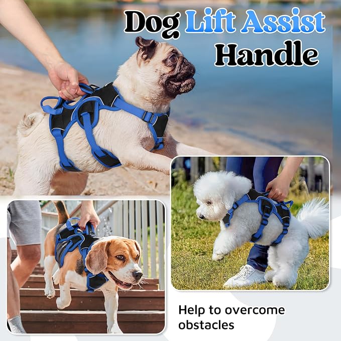 rabbitgoo Escape Proof Dog Harness for Small, No Pull with Lift Handle | No Escape, Full Soft Padded, Reflective Adjustable Vest, Leash Clip for Walking Hiking Training, Blue & Black, Small - Image 5