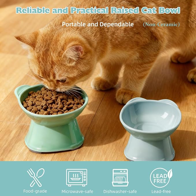 KSIA Klear Elevated Cat Bowls 2 Pack, Tilted Raised Cat Bowls for Indoor Cats, for Food and Water, 4.72" Wide, Whisker Friendly Anti Vomit for Indoor Cats, Microwave and Dishwasher Safe, Blue&Green - Image 2