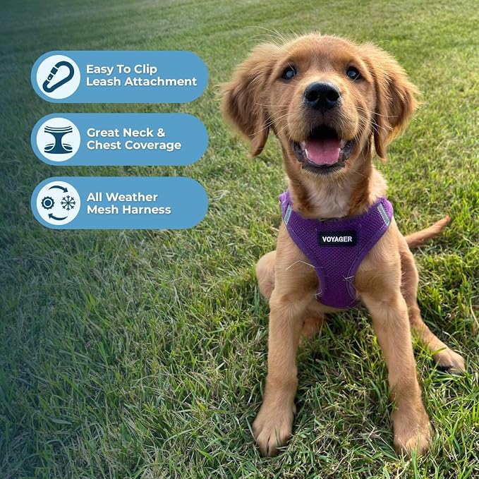 Best Pet Supplies Voyager Step-in Air All Weather Mesh Harness and Reflective Dog 5ft Leash Combo with Neoprene Handle, for Small, Medium and Large Breed Puppies - Purple, Large - Image 5