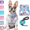 BEAUTYZOO Dog Harness Medium Sized and Leash Set,No Pull Pet Vest -Floral,M | Step-in Easy On/Off, All Season Breathable Mesh,Escape-Proof Hook & Loop,Lightweight Reflective,No Choke,Easy Walking Control by BEAUTYZOO