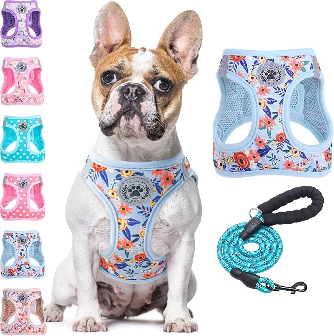 BEAUTYZOO Dog Harness Medium Sized and Leash Set,No Pull Pet Vest -Floral,M | Step-in Easy On/Off, All Season Breathable Mesh,Escape-Proof Hook & Loop,Lightweight Reflective,No Choke,Easy Walking Control by BEAUTYZOO