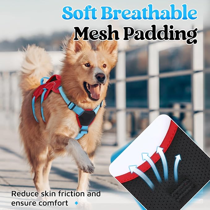 rabbitgoo Escape Proof Dog Harness for Medium, No Pull with Lift Handle | No Escape, Full Soft Padded, Reflective Adjustable Vest, Leash Clip for Walking Hiking Training, Sky Blue & Red, Medium - Image 7