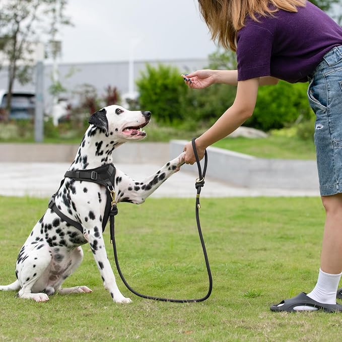 5FT Dog Leash Puppy Cat Rope Lead for Small Medium Large Dogs | Black, with Anti-tangle Swivel Clip, Traffic Non-slip Grip Handle for Extra Control, Ideal for Daily Walks and Training - Image 7