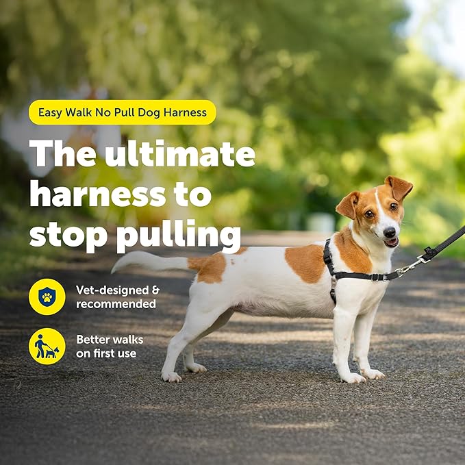 PetSafe Easy Walk Harness, No Pull Dog Harness, Black, Small | Patented Martingale Loop Gives Gradual Shoulder Pressure to Stop Pulling, Front-Chest Leash Clip Prevents Gagging - Image 3