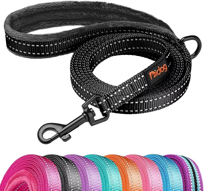 Didog 6FT Reflective Dog Leash for Small Medium Dogs,Slim 5/8" Width, Black | Soft Padded Handle, Plush Comfort Grip, Tangle-Free, 360° Swivel Clasp for Daily Walking and Training, Night Safety by Didog
