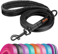 Didog 6FT Reflective Dog Leash for Small Medium Dogs,Slim 5/8" Width, Black | Soft Padded Handle, Plush Comfort Grip, Tangle-Free, 360° Swivel Clasp for Daily Walking and Training, Night Safety by Didog