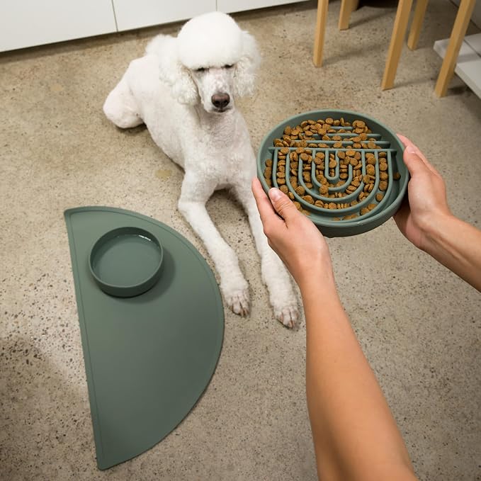 Should We Go? Slow Feeder Dog Bowls - Medium Size Silicone Slow Eating Dog Bowl for Puppies & Dogs with Suction Cup -Dishwasher-Safe, Lick Mat Design, Reduces Gulping,for All Breeds,7.5”x1.5”- Spruce - Image 6