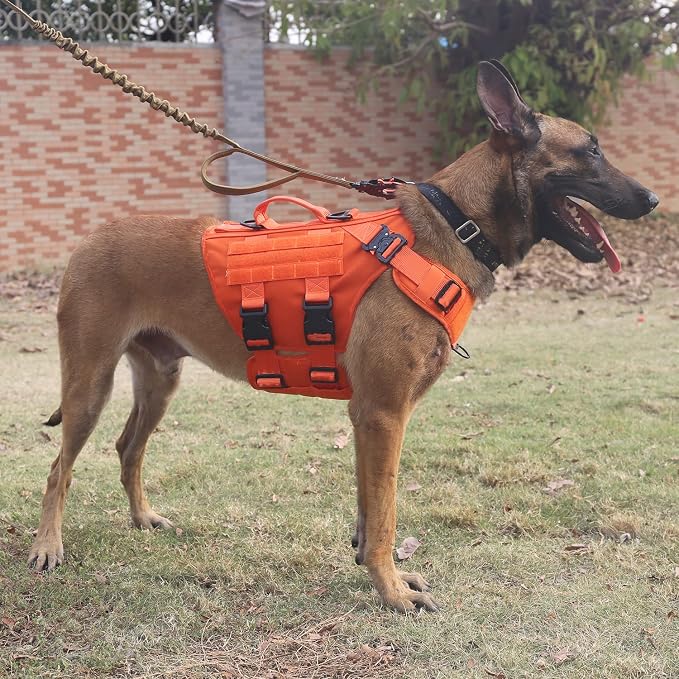 ICEFANG No Pull Tactical Dog Harness for X-Large Dogs,Adjustable Dog Vest | Control Handle,MOLLE Panel,Front Hook,3 Leash Clips,Soft Padded,for walking training,Orange,X-Large - Image 2