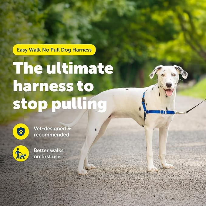 PetSafe Easy Walk Harness, No Pull Dog Harness, Royal Blue, Medium/Large | Patented Martingale Loop Gives Gradual Shoulder Pressure to Stop Pulling, Front-Chest Leash Clip Prevents Gagging - Image 2