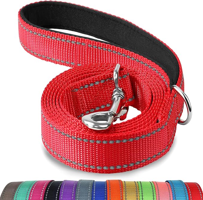 Joytale Reflective Dog Leash for Small Dogs, 5 FT x 3/4", Red | Heavy Duty Nylon Webbing, Padded Handle for Comfort, Visible at Night, for Walking & Training by Joytale