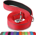 Joytale Reflective Dog Leash for Medium & Large Dogs, 5 FT x 1", Red | Heavy Duty Nylon Webbing, Padded Handle for Comfort, Visible at Night, for Walking & Training by Joytale
