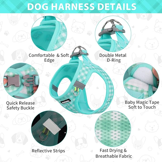 AIITLE Step in Small Dog Harness and Leash Set, Pet Vest, Turquoise XS | Breathable Mesh, Adjustable Fit, No-Pull Reflective Design, Escape Proof, for Small-Medium Dogs, Outdoor Walking, Running - Image 7