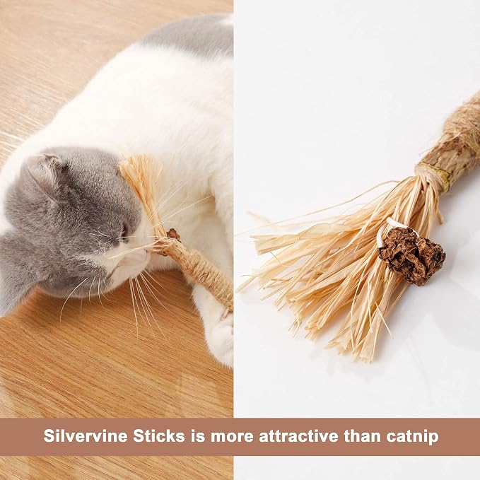 PAZ'S GIFT Catnip Toy Cat Toys Catnip Toy cat chew Toy cat Kicking silvervine Stick Teeth Cleaning Cute Kitten Teething Indoor Interactivecat Dental Care Matatabi (Raffia 2pcs) - Image 5