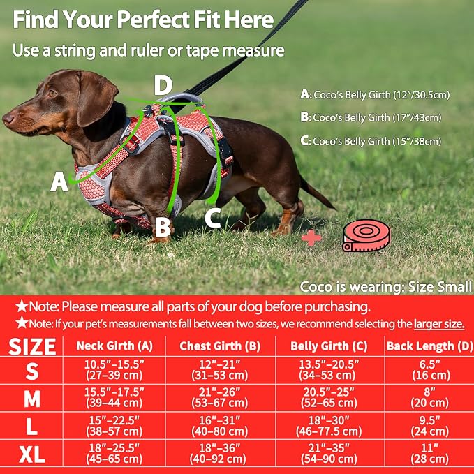 Escape Proof Dog Harness, Dachshund Harness, Reflective Dog Harness with Handle, Durable,Adjustable Vest for Small Medium Large Dogs Walking, Training, and Running Gear (Red,S) - Image 6