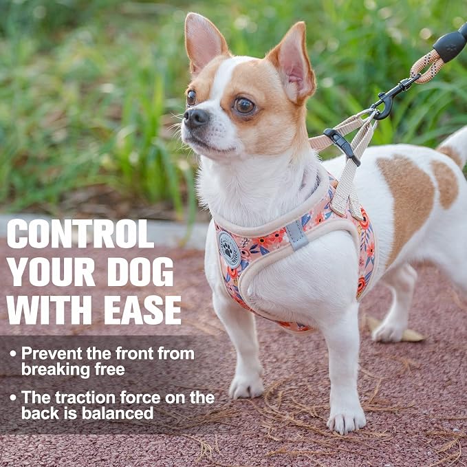 BEAUTYZOO Small Dog Harness and Leash Set,No Pull Puppy Pet Vest- Floral, S | Step-in Easy On/Off, All Season Breathable Mesh,Escape-Proof Hook & Loop,Lightweight Reflective,No Choke,Easy Walking Control - Image 7