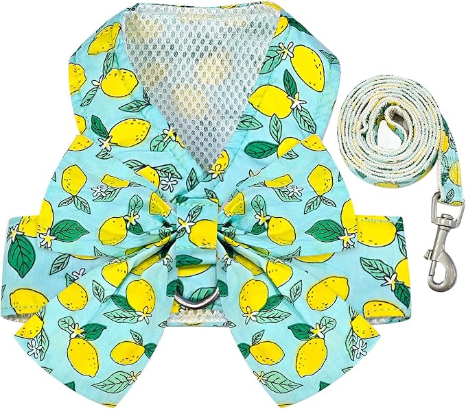 BAEJMJK Dog Harness and Leash Set with Bow Knot No Pull Pet Daisy Floral Harness with D-Ring Soft Mesh Dog Harness Vest Set Escape Proof Princess Puppy Harness for Small Girl Dogs Cats（Green M） by BAEJMJK