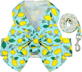 BAEJMJK Dog Harness and Leash Set with Bow Knot No Pull Pet Daisy Floral Harness with D-Ring Soft Mesh Dog Harness Vest Set Escape Proof Princess Puppy Harness for Small Girl Dogs Cats（Green M） by BAEJMJK