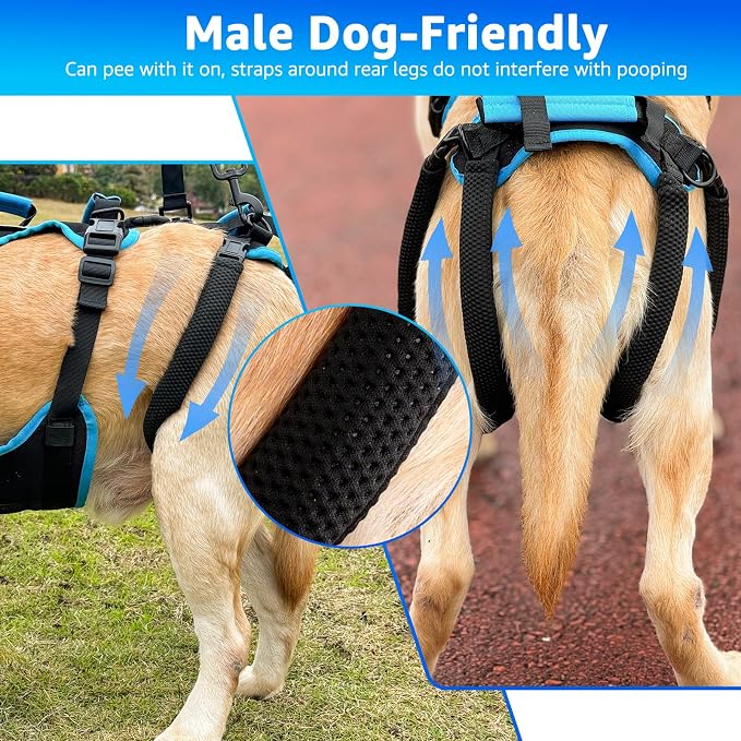 Dog Lift Harness for Medium Male Dogs Friendly, 2 in 1 Detachable Support Harness, Full Body Dog Carrying with 4 Handles for Old/Disabled/Joint Injuries Dogs (Black, Medium) - Image 4
