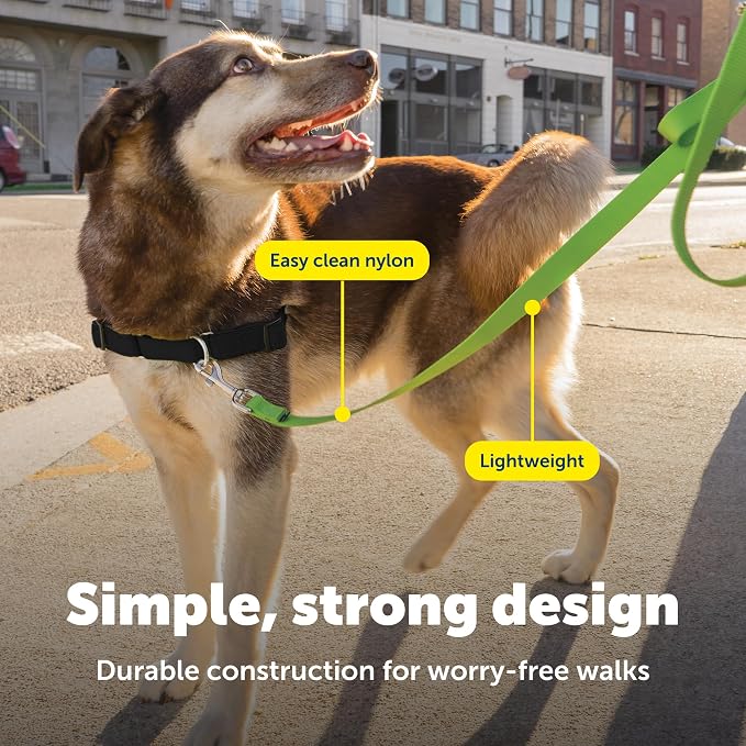 PetSafe Nylon Dog Leash - Strong, Durable, Traditional Style Leash with Easy to Use Bolt Snap - 1 in. x 6 ft., Apple Green | Durable Nylon Leash with Easy on/off Bolt Snap Hook, Pairs Perfectly with Easy Walk Harness and Gentle Leader Headcollar - Image 4