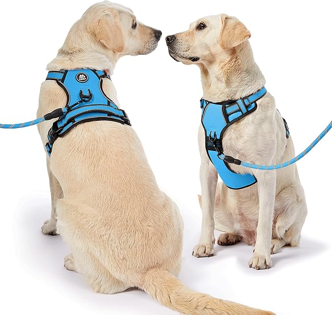 NESTROAD No Pull Dog Harness,Adjustable Oxford Dog Vest Harness with Leash,Reflective No-Choke Pet Harness with Easy Control Soft Handle for Small Dogs(X-Small,Blue) - Image 7