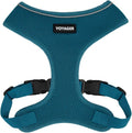 Best Pet Supplies Voyager Aerolite Over the Head Dog Harness, No Pull Breathable Air Mesh Vest, Quick Dry with Reflective Stitching, Adjustable Escape Resistant Harness - Turquoise, Medium by BestPetSuppliesLLC