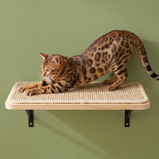 Cat Wall Shelves Stairs Cat Wall Furniture Mounted, 2PCS Shelves & 2PCS 4 Steps Climbing Shelf Scratching Perches for Sleeping, Playing, Climbing - Image 5