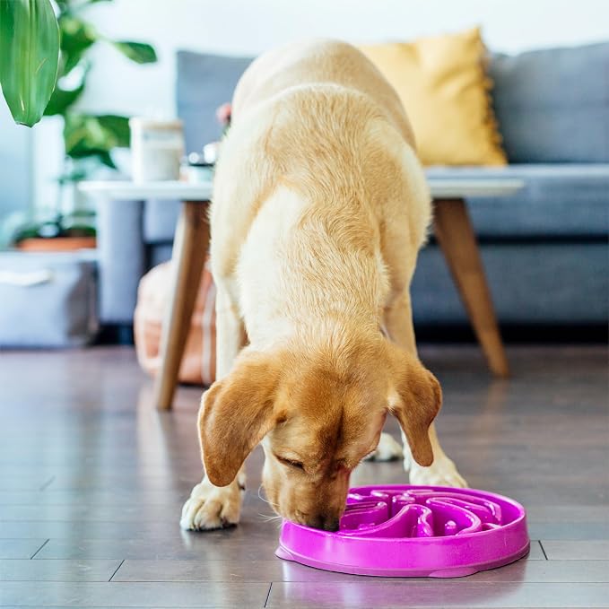 Outward Hound Fun Feeder Slo Bowl – Large 4‑Cup Capacity, Slow Feeding, Medium to Large Dogs, Non‑Slip, Purple, Flower Pattern | Slows Fast Eaters, Can Aid Digestion, Holds 4 Cups Dry or Wet Food, Non-Slip Base, Easy Clean, No BPA, Medium to Large Dogs - Image 6