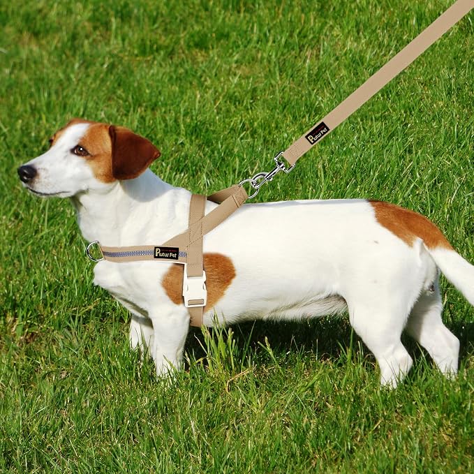 Plutus Pet Cotton Dog Harness and Leash Set, Reflective and Soft Padded, Quick Fit Vest Harness, for Small, Medium and Large Dogs, Beige, XXS - Image 6