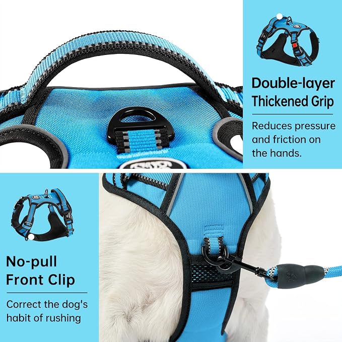 IVY&LANE No Pull Dog Harness for Small Dogs, Dog Vest Harness with Leash, Safety Belt and Storage Strap, Fully Adjustable Harness, 360° Reflective Strip, Soft Handle (Blue, XS) - Image 5